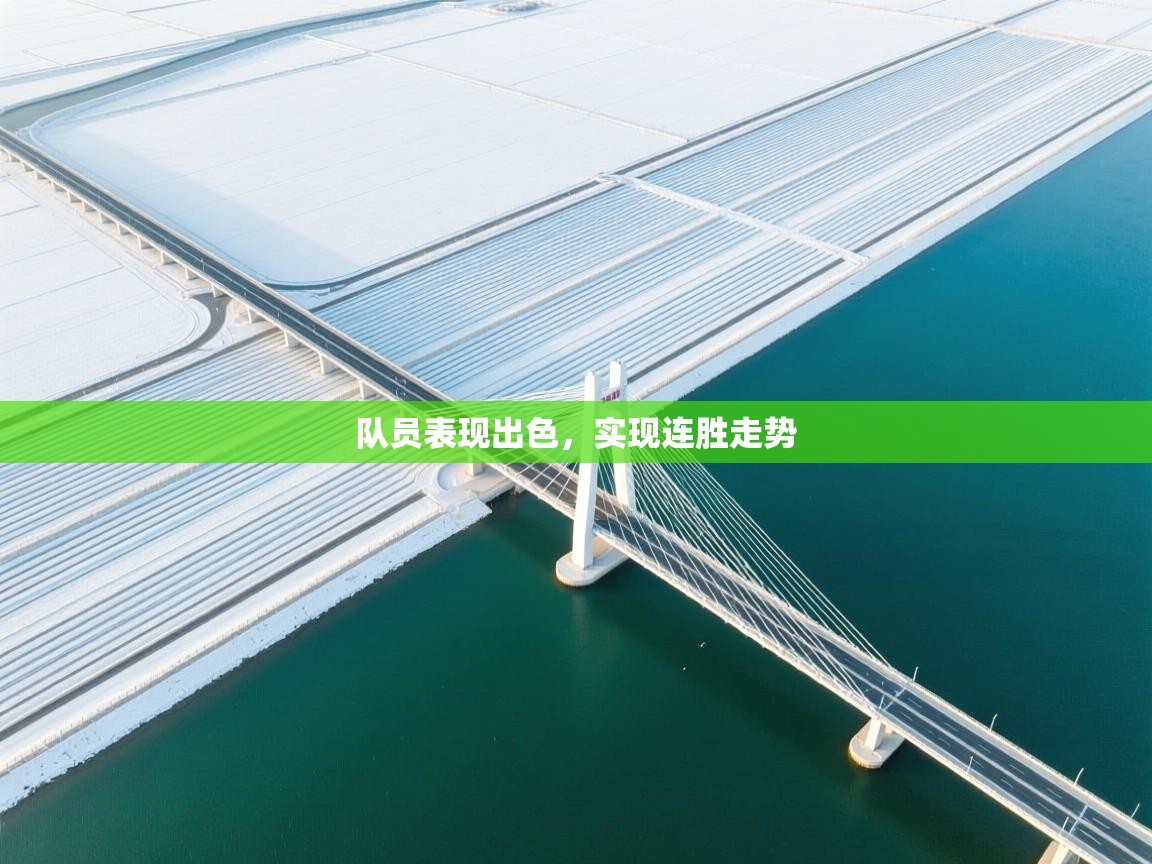 队员表现出色,实现连胜走势 第1张